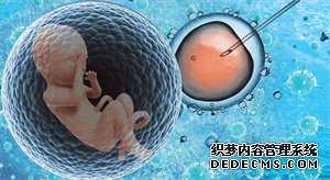 43岁卵巢衰退可以做试管婴儿吗