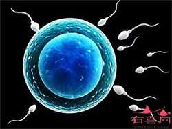 t卵p生会像两个人吗_「做试管婴儿上哪家医院好」在上海长宁区同性生育是否昂