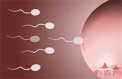 供卵有母血基因吗_男性精子缺乏容易导致不育