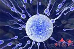 有没有卵子库，残角子宫怀孕后对胎儿的生长发育会有些什么危害？